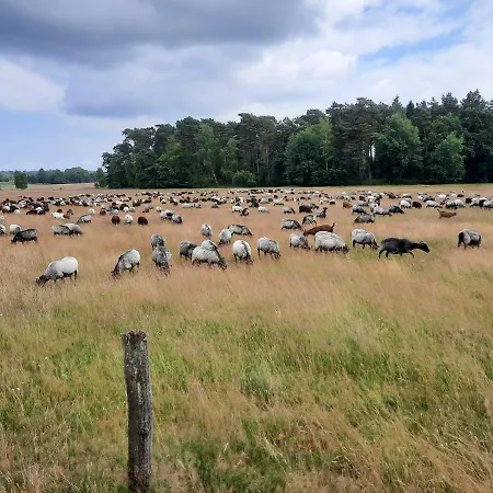 Dammannshof
