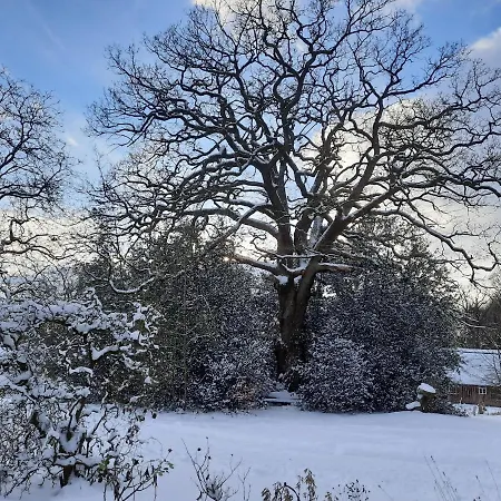 Dammannshof * Bispingen